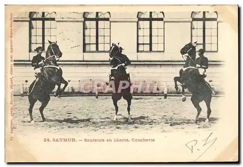 Cartes postales Cheval Hippisme Saumur Sauteurs en liberte Courbette