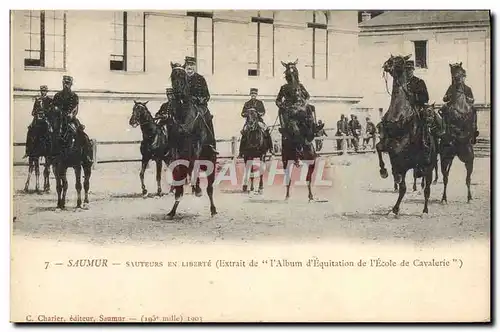 Cartes postales Cheval Hippisme Saumur Sauteurs en liberte