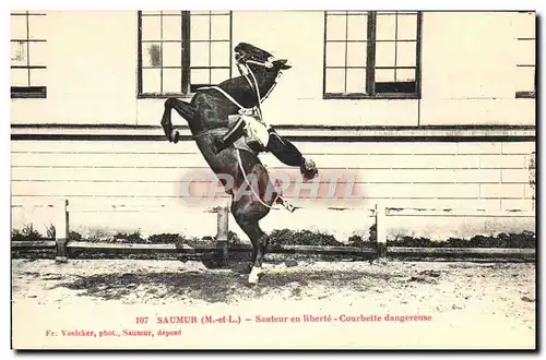 Ansichtskarte AK Cheval Hippisme Saumur Sauteur en liberte Courbette dangereuse