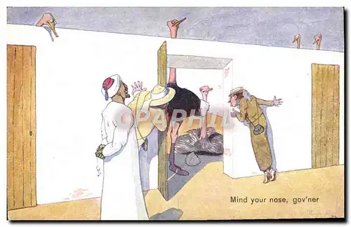 Cartes postales Fantaisie Illustrateur Mind your nose Autruche Ostrich Egypt Egypte