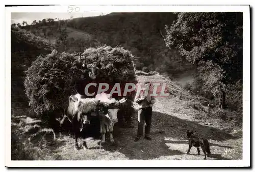 Ansichtskarte AK Folklore Cote Basque Saint Jean de Luz Attelage basque