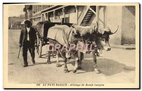 Ansichtskarte AK Folklore Au pays basque Attelage de boeufs basques