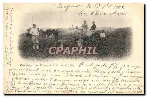 Cartes postales Folklore Pays basque Attelage de boeufs