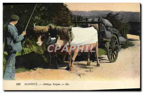 Cartes postales Folklore Biarritz Attelage basque Boeufs