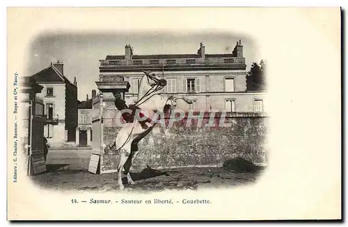 Cartes postales Hippisme Cheval Saumur Sauteur en liberte Courbette