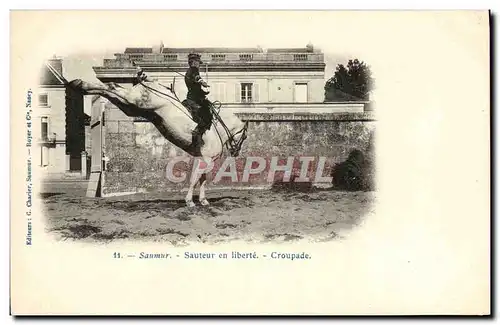 Cartes postales Hippisme Cheval Saumur Sauteur en liberte Croupade