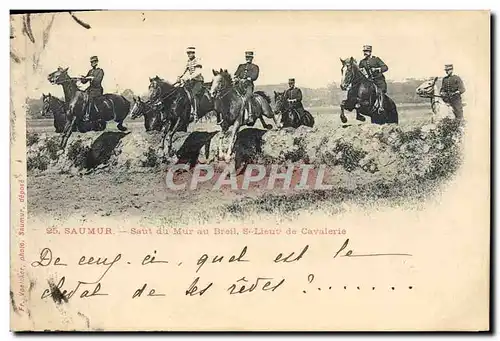 Cartes postales Hippisme Cheval Saumur Saut du mur au Breil