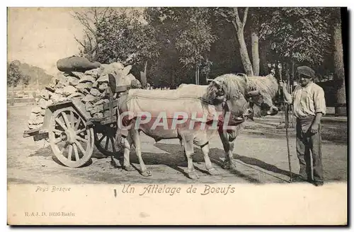 Cartes postales Folklore Un attelage de boeufs