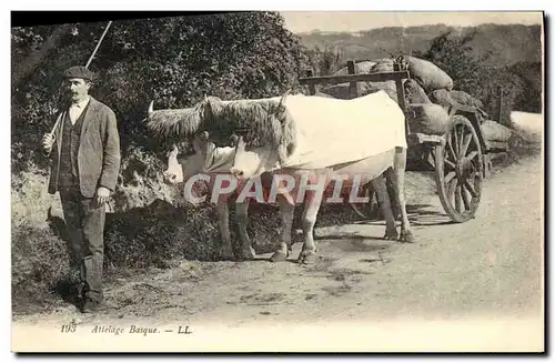 Cartes postales Folklore Attelage Basque Beoufs