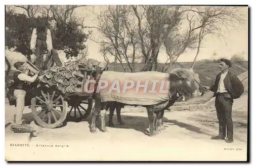 Cartes postales Folklore Biarritz Attelage Basque Boeufs