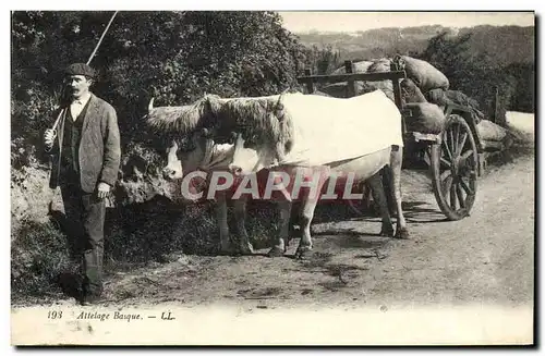 Cartes postales Folklore Attelage Basque Boeufs