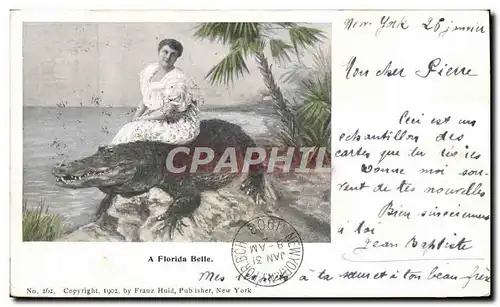 Cartes postales a Florida Belle