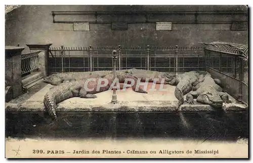 Ansichtskarte AK Paris Jardin des plantes Caimans ou alligators de Mississipi