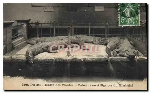 Cartes postales Paris Jardin des plantes Caimans ou alligators du Mississipi