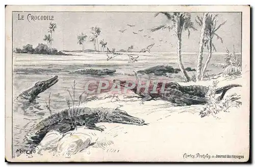 Cartes postales Crocodile