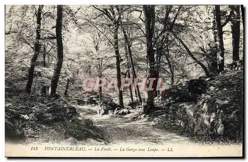 Ansichtskarte AK Fontainebleau La Foret La Gorge Aux Loups