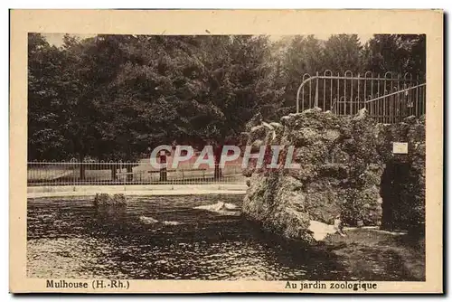 Ansichtskarte AK Mulhouse Au jardin zoologique