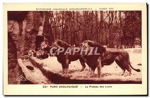 Cartes postales Paris Exposition coloniale internationale 1931 Jardin zoologique Le plateau des lions