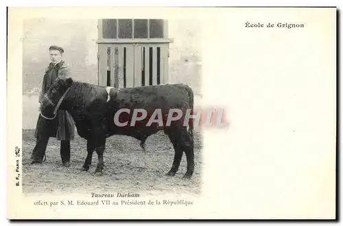 Cartes postales Ecole de Grignon Taureau Durham offert par SM Edouard VII au President de la Republique