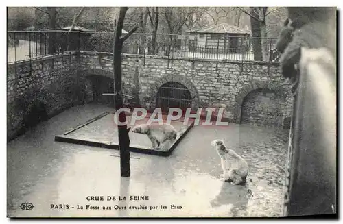 Cartes postales Paris Crue de la Seine La fosse aux ours envahie par les eaux