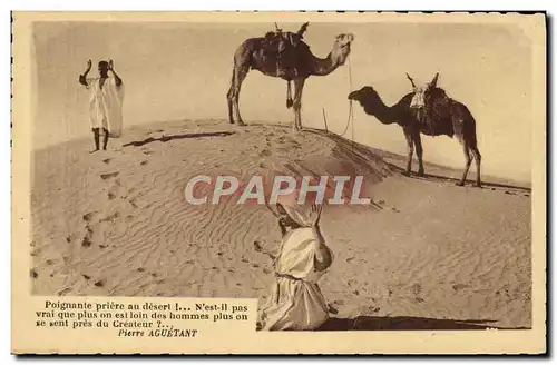 Cartes postales Desert Chameau Dromadaire Islam Priere au desert