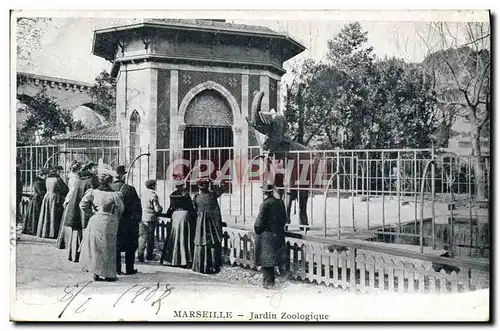 Cartes postales Zoo Marseille Jardin zoologique Elephant