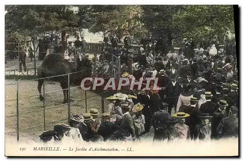 Cartes postales Zoo Marseille Le jardin d&#39acclimatation Dromadaire