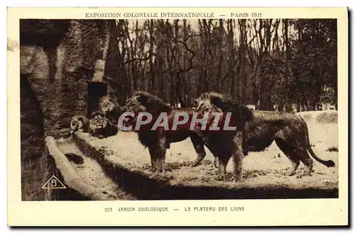 Cartes postales Zoo Paris Exposition coloniale internationale 1931 Jardin zoologique Le plateau des lions