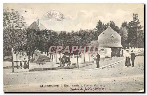 Cartes postales Zoo Mulhausen i Eis Partie b Zoolog garden Mulhouse Lion