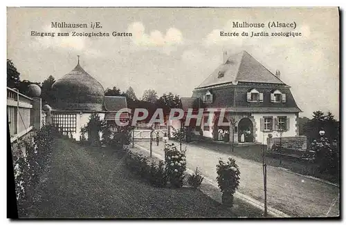 Cartes postales Zoo Mulhausen i E Eingang zum Zoologischen Garten