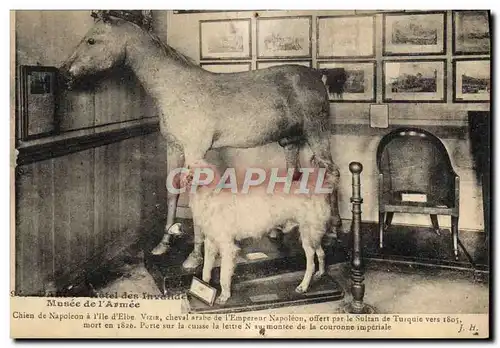 Ansichtskarte AK Paris Hotel des Invalides Musee de l&#39armee Chien de Napoleon 1er