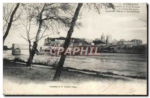 Cartes postales Avignon Vue d'ensemble du pont Benezet et palais des papes prise de l'ile de la Barthelais