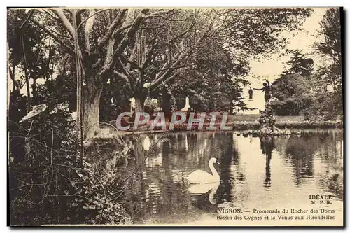 Cartes postales Avignon Promenade du Rocher des Doms Bassin des cygnes et la Venus aux Hirondelles Cygne