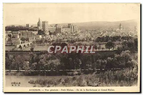 Cartes postales Avignon Vue Generale Petit Rhone Ile de la Barthelasse et le grand Rhone