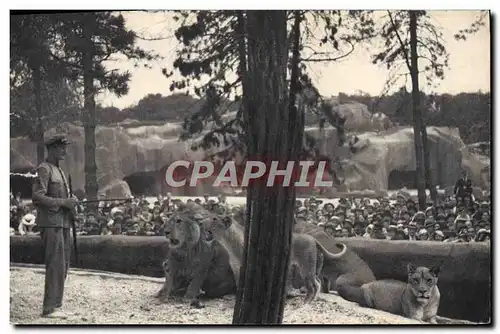 Cartes postales Parc zoologique du Bois de Vincennes Paris le travail des lions sur leur plateau