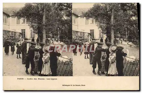 Cartes postales Paris Jardin des Plantes Les cygnes Enfants