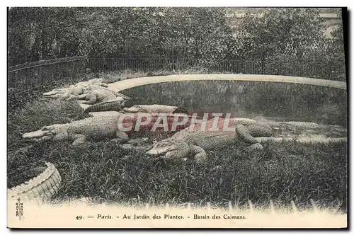 Cartes postales Paris Jardin des Plantes Bassin des caimans Crocodile Caiman