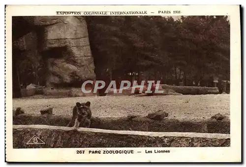 Ansichtskarte AK Paris Exposition coloniale internationale 1931 Parc zoologique Les lionne slion