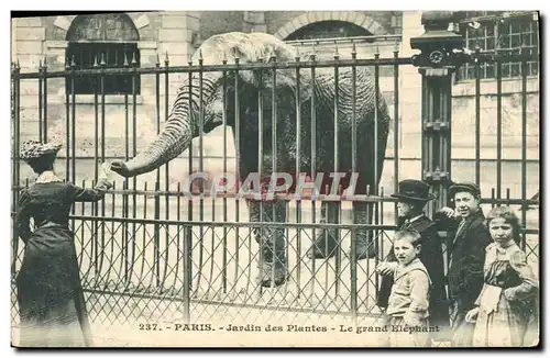 Cartes postales Paris Jardin des Plantes Le grand elephant Enfants