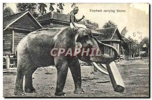 Cartes postales Sri Lanka Elephant carrying Timber