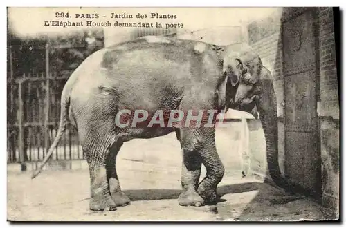 Ansichtskarte AK Elephant Paris Jardin des plantes L&#39elephant Houthc demandant la porte
