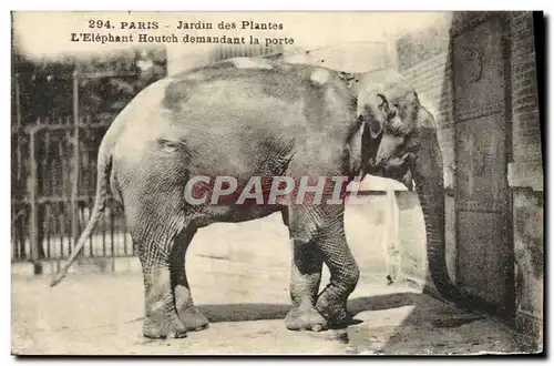 Cartes postales Elephant Paris Jardin des plantes L&#39elephant Houthc demandant la porte