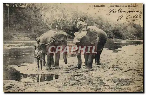 Cartes postales Elephant Colombo Elephants a Kandy