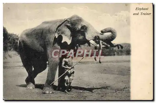 Cartes postales Elephant and trainer