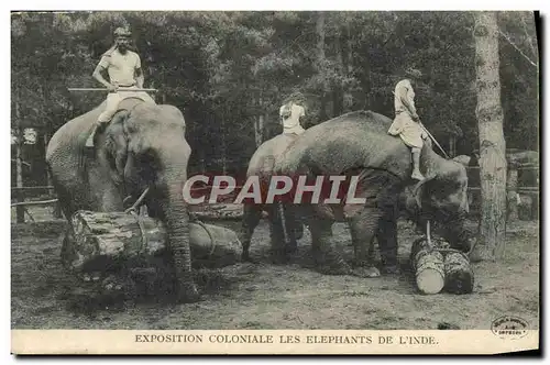 Cartes postales Elephant Exposition coloniale internationale de l&#39Inde