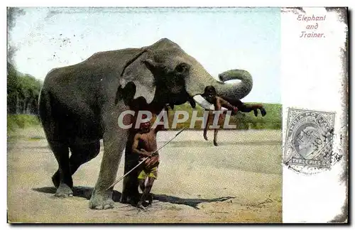 Cartes postales Elephant and trainer Inde