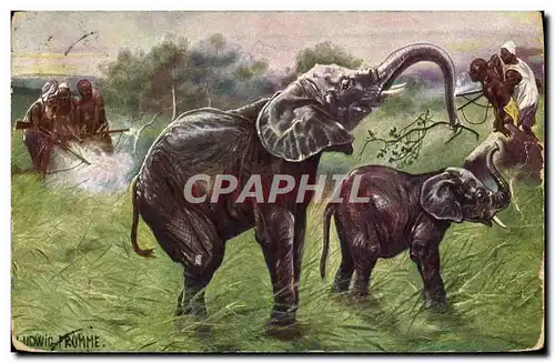 Cartes postales Elephants Afrique