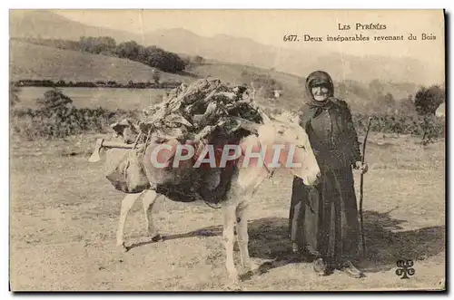 Ansichtskarte AK Folklore Pyrenees Deux inseparables revenant du bois ane Mule TOP