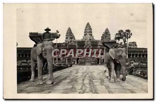 Cartes postales moderne Elephants Elephant