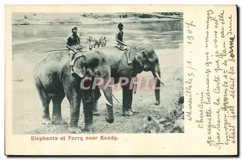 Ansichtskarte AK Elephant Elephants at Ferry near Kandy